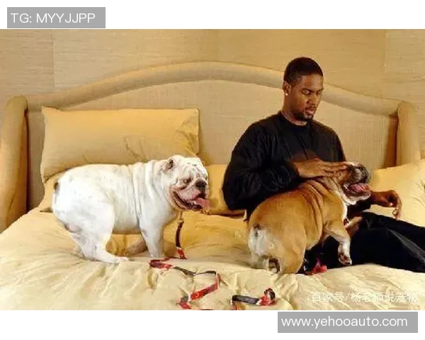 足球球星最宠爱的爱犬排名第一揭晓背后的温情故事